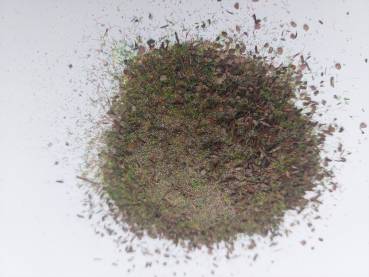 Streu Waldboden, Nadelwald